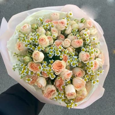 Сияние любви — миниатюра 1