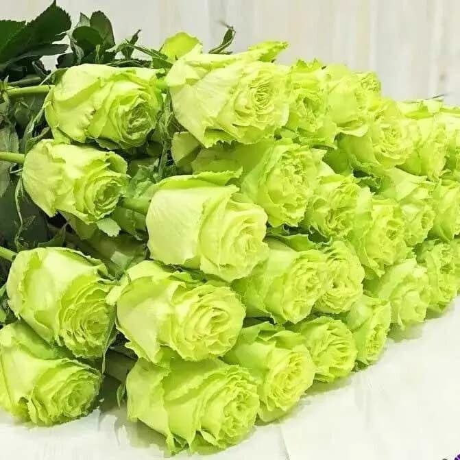ЛЕМОНАД 60 см —  с доставкой