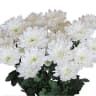 Балтика Linflowers